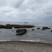 銀の画像
