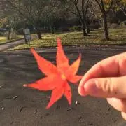 みゆ