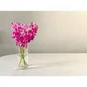 YOYO