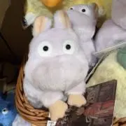 らっこ
