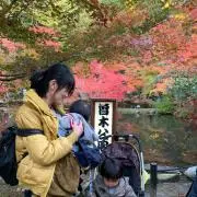 コスモス