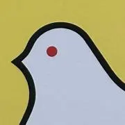 鳩の画像