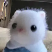 あるでひど