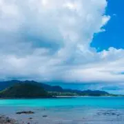 ISLAND FARMの画像