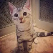 あき