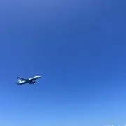 rの画像