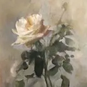 as2の画像
