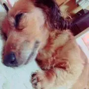 柚愛 ❤︎