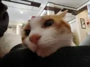 soraの画像