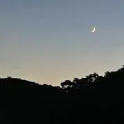 かんみなの画像