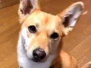 福