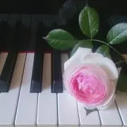 Happy_melody