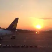 ぐっちゃんの画像