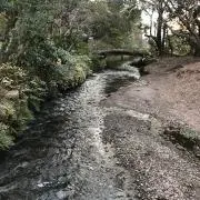 やましたの画像