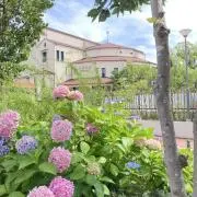 yuzuyuの画像