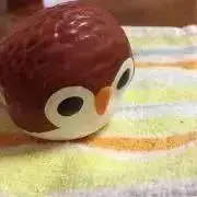 komaの画像