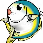 ハマチ