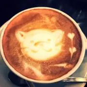 はっさく