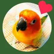 けろっさん♡プロフ必読♡の画像