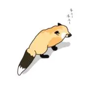 キツネモドキの画像