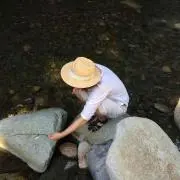 フードプロフ必読の画像