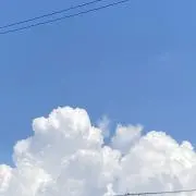 オレンジ　プロフ確認お願いします。の画像