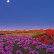 yun★sale中の画像
