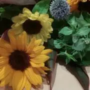 みぃの画像