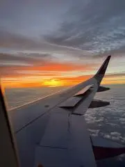 マゼンタ❤