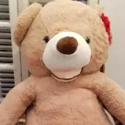 ブックベア(値下げ、配送先指定大歓迎❤️の画像
