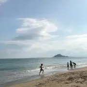 こまいぬの画像