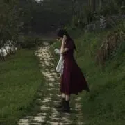秋の画像