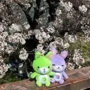 エデン✨ 無言取引推奨の画像