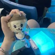 ⸜❤︎⸝‍