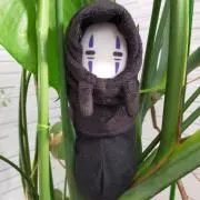 いるかの画像