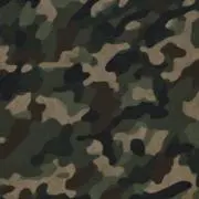 gunsoの画像