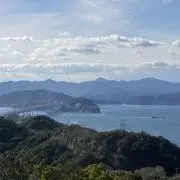 アパねこの画像