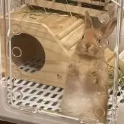 みるの画像