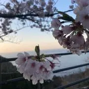 ꕤ mi◡̈*.。
