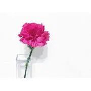 .☺︎の画像