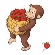 yuaの画像