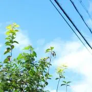 ちぃ