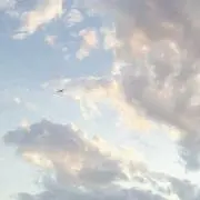 mocaの画像