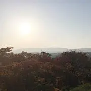 たけ