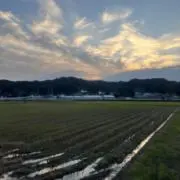エスケーの画像