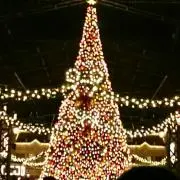 あっち☆の画像
