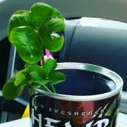 ベテイ