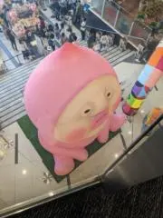 かれんの画像