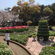 きららの画像