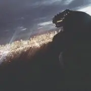 Rの画像